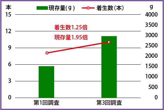 マコンブの着生量の推移（30㎝角）