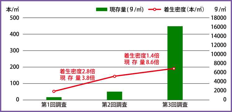 シダモクの着生量の推移